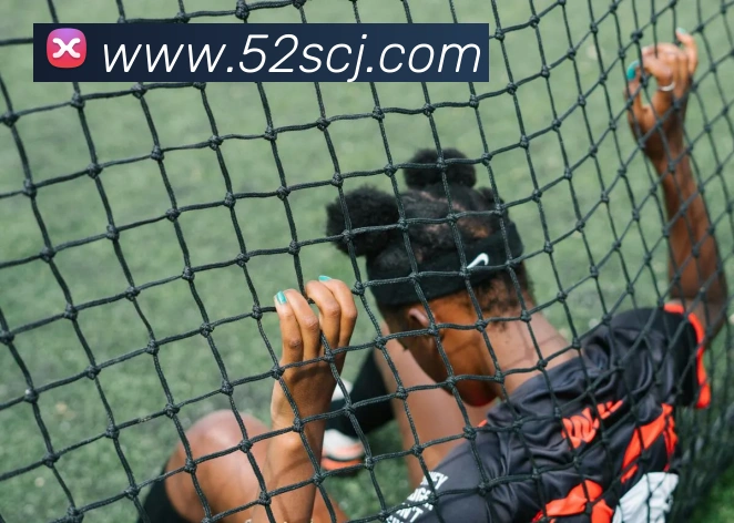 米兰官方网站入口发展历程